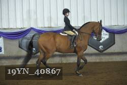 19YN_40867 thumbnail