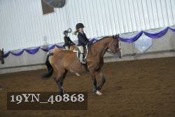 19YN_40868 thumbnail