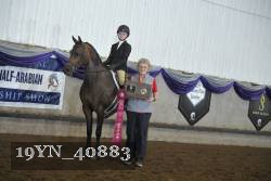 19YN_40883 thumbnail