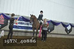 19YN_40886 thumbnail