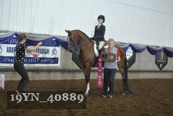 19YN_40889 thumbnail