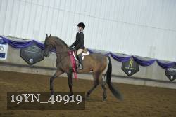 19YN_40919 thumbnail