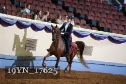 19YN_17625 thumbnail