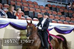 19YN_17627 thumbnail