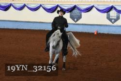19YN_32156 thumbnail