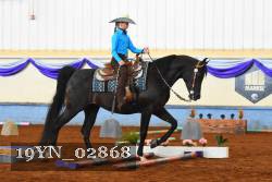 19YN_02868 thumbnail