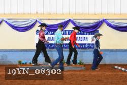 19YN_08302 thumbnail