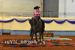 19YN_08308 thumbnail