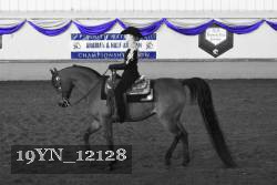 19YN_12128 thumbnail