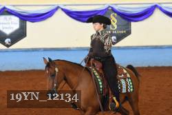 19YN_12134 thumbnail
