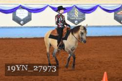 19YN_27973 thumbnail