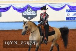 19YN_27974 thumbnail