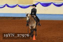 19YN_27976 thumbnail