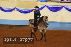 19YN_27977 thumbnail