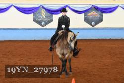 19YN_27978 thumbnail