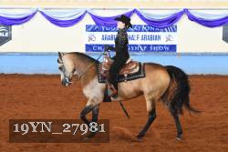 19YN_27981 thumbnail
