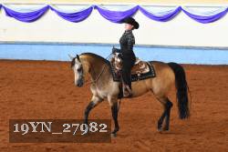 19YN_27982 thumbnail