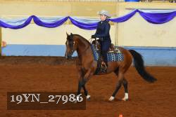 19YN_27986 thumbnail