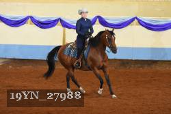 19YN_27988 thumbnail