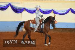 19YN_27994 thumbnail