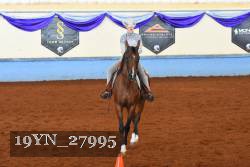 19YN_27995 thumbnail