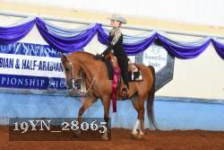 19YN_28065 thumbnail