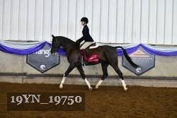 19YN_19750 thumbnail