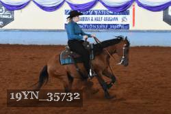 19YN_35732 thumbnail
