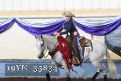 19YN_35834 thumbnail
