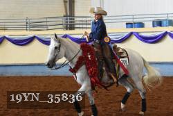 19YN_35836 thumbnail