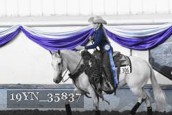 19YN_35837 thumbnail