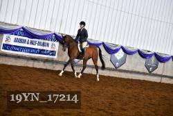 19YN_17214 thumbnail
