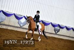 19YN_17273 thumbnail