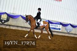 19YN_17274 thumbnail