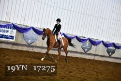 19YN_17275 thumbnail