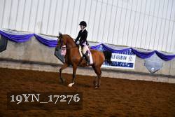 19YN_17276 thumbnail