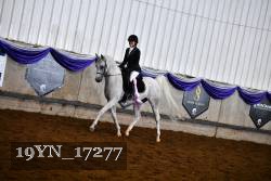 19YN_17277 thumbnail