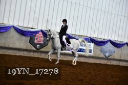 19YN_17278 thumbnail