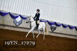 19YN_17279 thumbnail