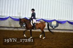 19YN_17281 thumbnail
