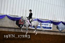 19YN_17283 thumbnail