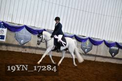 19YN_17284 thumbnail