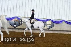 19YN_20439 thumbnail