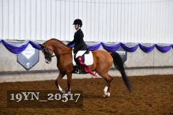 19YN_20517 thumbnail