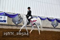 19YN_20524 thumbnail