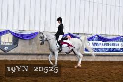 19YN_20525 thumbnail
