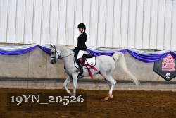 19YN_20526 thumbnail