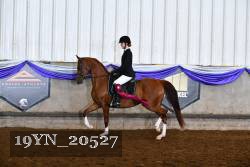 19YN_20527 thumbnail