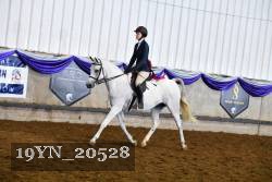 19YN_20528 thumbnail
