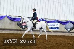 19YN_20529 thumbnail